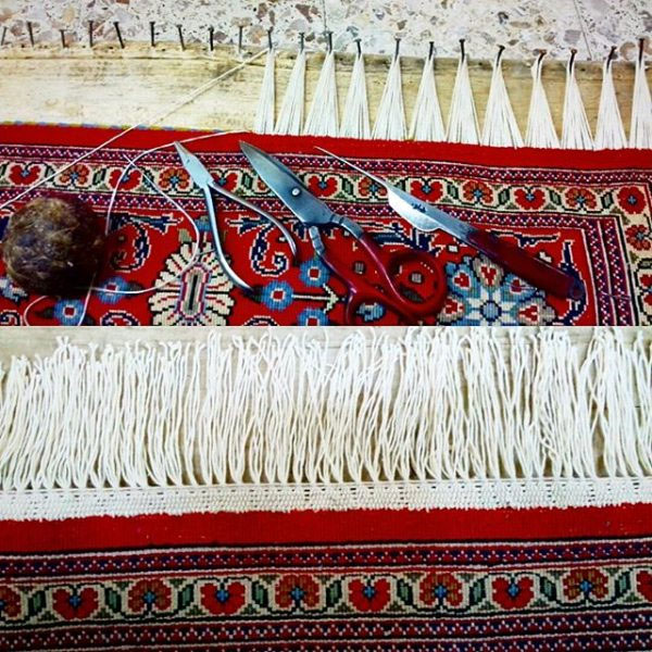 Pulling-down-the-carpet-and-all-kinds-of-roots پایین کشی فرش و انواع ریشه - قالیشویی پاکبان