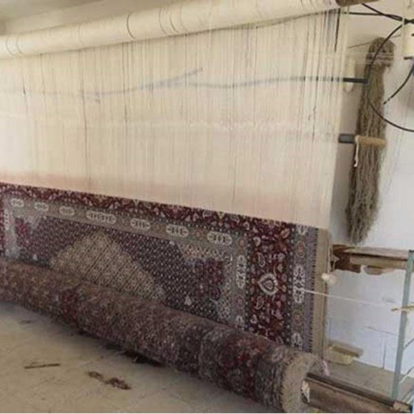 پایین کشی فرش و انواع ریشه - قالیشویی پاکبان