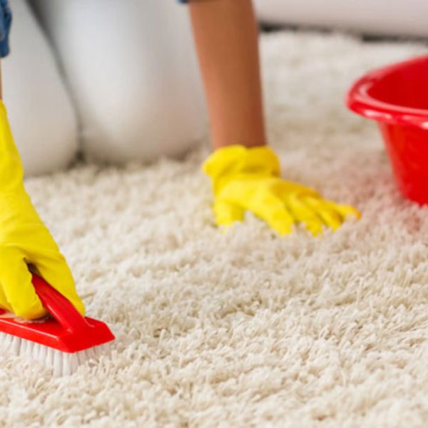 قالیشویی پاکسان در جهانشهر قالیشویی پاکسان