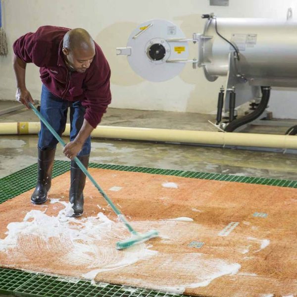 قالیشویی چطور فرش میشوره - قالیشویی پاکسان