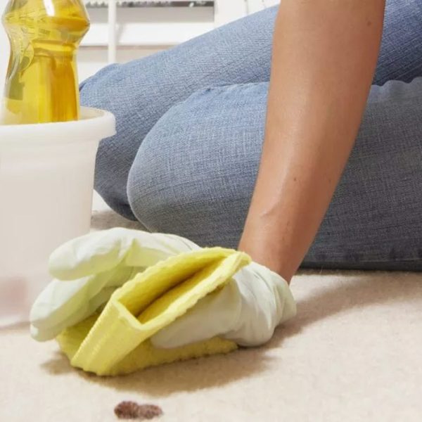 راهنمای کامل درباره شستن فرش نجس در خانه - قالیشویی پاکسان