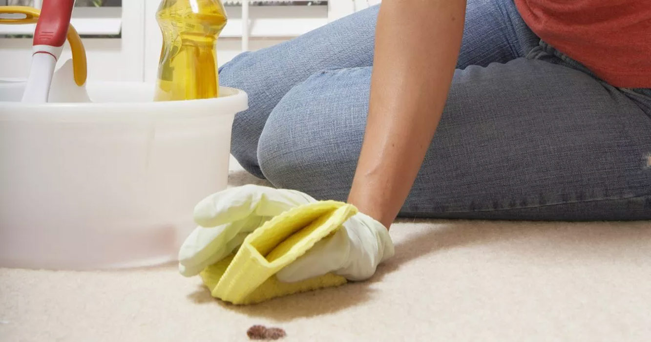 راهنمای کامل درباره شستن فرش نجس در خانه - قالیشویی پاکسان