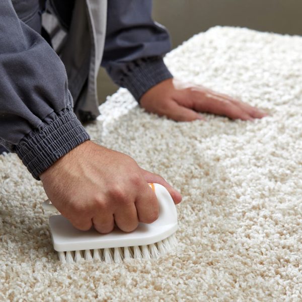 اهمیت پرز گیری فرش قبل از شستشو - قالیشویی پاکسان