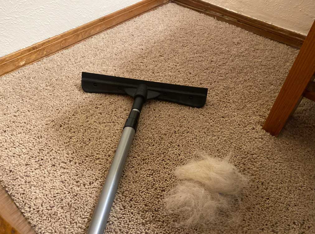 چگونه پرز فرش را بگیریم؟