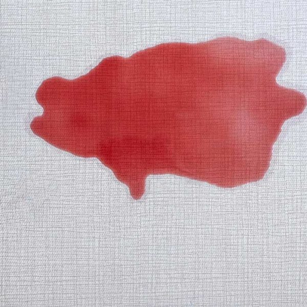 روش های پاک کردن لکه خون از روی فرش - قالیشویی پاکسان